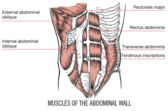 abs aren't all that